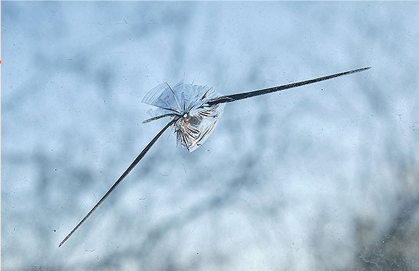 飛び石ガラス補修・修理image